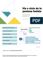 Capítulo 9 Bioquímica. J.M