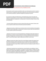 Explicacion Cronologica y Conclusion Informe Integracion Automotriz.