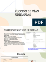 Obstrucción de Vías Urinarias