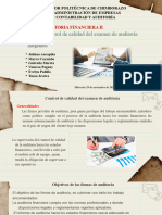 AUDITORIA FINANCIERA GRUPO 5 Capitulo 5