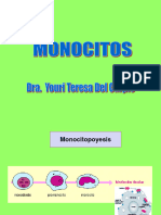 Monocitos