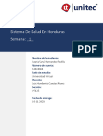 S1 Tarea 1.1 Sistema de Salud en Honduras