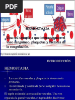 Hemato II Completa