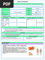 Sesión de Aprendizaje 1: Competencia Capacidad Desempeño Evidencia / Producto Instrumento