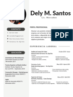 Professional CV Resume Dely Santos