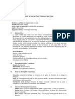 Informe de Terapia Ocupacional Santiago Salcedo Acevedo