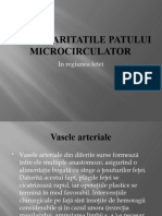 Paticularitatile Patului Microcirculator