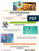 Grupo 2 - Micotoxinas