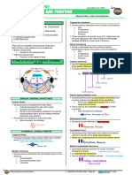 083 - Neurology Physiology) Pons Anatomy & Function