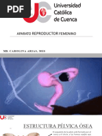 Anatomía de Aparato Reproductor Femenino