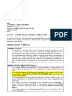 Observaciones Radicado 0096-22