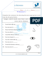 Five Senses Worksheet-1