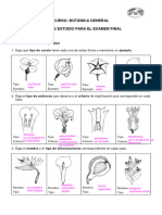 Guía de Estudio para El Examen Final