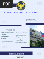 BSP Report