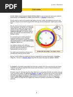 La Celula en Division PDF Alumnos