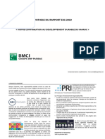 Synthèse Du Rapport ESG 2019