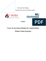 Cours Psychosociologie Des Organisations