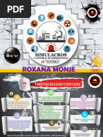 Roxana Monje - Simulacro & Control