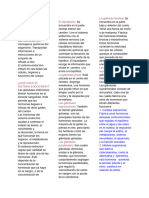 Sistema Endocrino