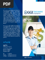 GGI TM DL Brochure Cash Transit Insure Bur