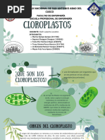 Cloroplastos