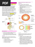 Sistema Digestiv1