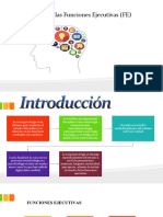 Definición de Las Funciones Ejecutivas (FE)