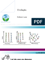 Aula 14 e 15 (PAS 1 - ICC) - Evolução (16 A 27 de Novembro)