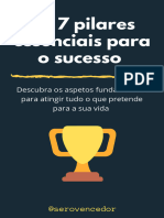 Os 7 Pilares Do Sucesso