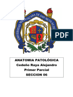 Compendio de Anatomía Patológica