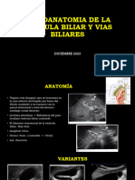 Radioanatomia de La Vesicula Biliar y Vias Biliares