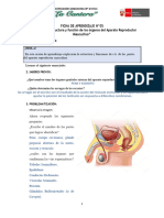 Sesion 5 Resuelta