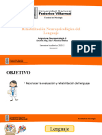 S12 - Rehabilitación Neuropsicológica Del Lenguaje