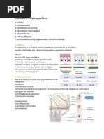 Citosol y Citoesqueleto