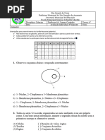 PROVA 6º ANO - 4º Bimestre