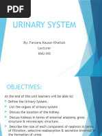 Urinary System-1