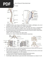 10 Lumbosacral Spine