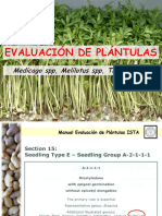 Evaluacion de Plantulas Medicago