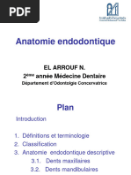 Anatomie Endodontique - Anatomie Dentaire Descriptive - EL ARROUF 2020-21