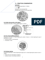 PUC II - Practical Exam Helpmate-1