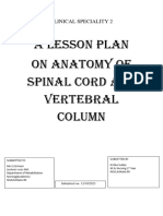 Vertebral Column Lesson Plan