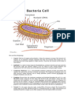 Bio Assignment 1