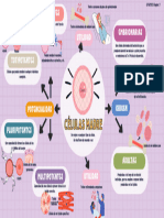 Mapa Mental Sangre Total