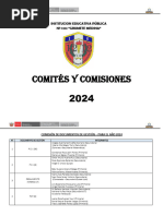 Comités y Comisiones 2024