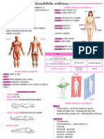 Solemne I Anatomía 