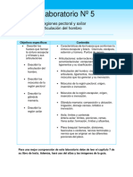 Guia Del Lab.5 Regiones Pectoral y Axilar. Articulacion Del Hombro - 2023 Revisado