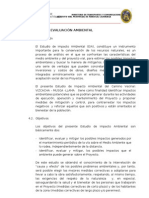 Informe de Evaluación Ambiental Musga - Llama