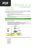 Tema 20 Farmacologia