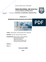 Informe 5