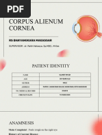 RK - Corpus Alienum Cornea - Rs Bhayangkara